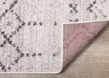 Load image into Gallery viewer, Focus B676/2494
